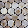 natural Shell mosaic Tiles, mosaic shell,shell mosaic pattern