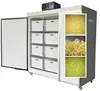 easy to operate Automatic electric bean sprout growing machine/bean sprout machine/barley sprout machine