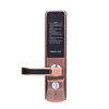 Smart Home Push Pull Door Lock Face Recognition Door Access Control System With Lock