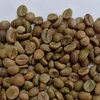 /product-detail/robusta-coffee-beans-62092577257.html