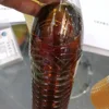 Biopolymer new biosurfactant Sophorolipid Welan Gum Scleroglucan liquid used in petroleum filed