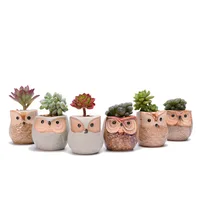 

2.5 Inch Owl Pot Ceramic Flowing Glaze Base Serial Succulent Plant Pot with A Hole set of 6