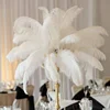 IFG Colourful Ostrich Feather Lace for Wedding Decoration