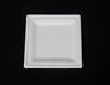6/8/10 inch Square sugarcane pulp plate disposable party plate biodegradable square plate tableware