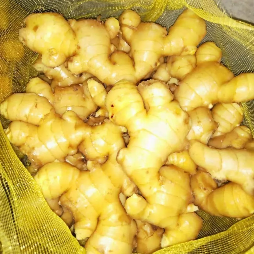 中国高品质的新鲜生姜供应商