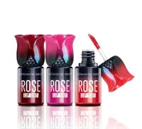 

Romantic bird RB168 professional rose tint lipgloss manufacturers wholesale OEM/ODM cosmetic