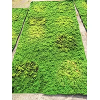 

wholesale artificial peat moss mat wall panel art, artificial moss colored for decoration