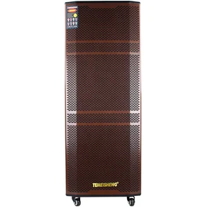 Temeisheng Dual 15 Inch Wireless DJ Speaker System
