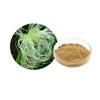Best Selling product Corn Stigma Extract 20:1 powder/ Corn Stigma P.E
