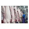 poultry slaughtering equipment , chicken slaughter line , pig slaughtering machine