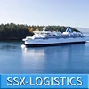 China to Bhrain shipping cargo door to door sea transportation service to Manama with internation container dropshipping cost