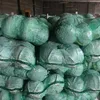 Green Cabbage Purple Cabbage With Good Quality for sale 2019