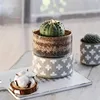 New design cylinder modern matte home decor ceramic bonsai pot / gardening wholesale plant pots with glass cover