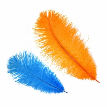 small ostrich feathers