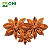 100% Organic hand select star anise powder extract/star aniseed extract powder