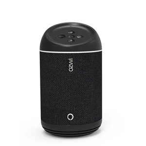 Smart Speaker Alexa Google Home Compatibility