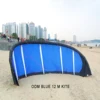 2.6m/3m/4m/Customized Size Kitesurfing Trainer Kite With Customized Logo or Design