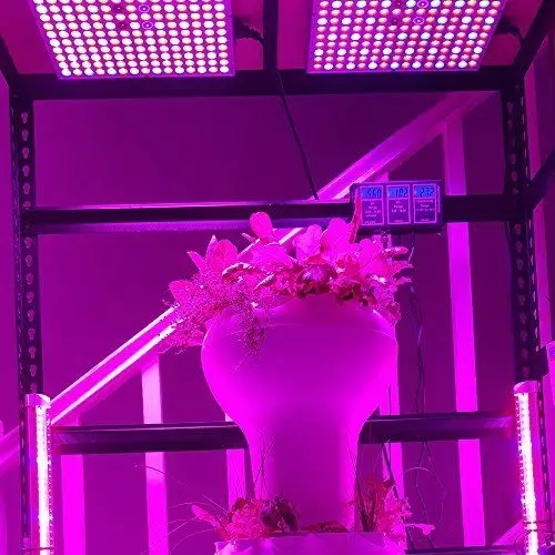 
High Power 600W Full Spectrum Led Grow Lights 