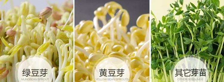 
Full automatic bean sprout machine 