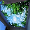 decoration material pvc film fixed led light box UV print stretch pvc ceiling