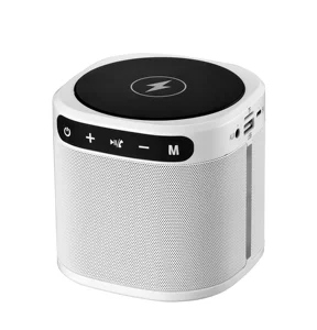 Portable Wireless Charging Bluetooth Speaker