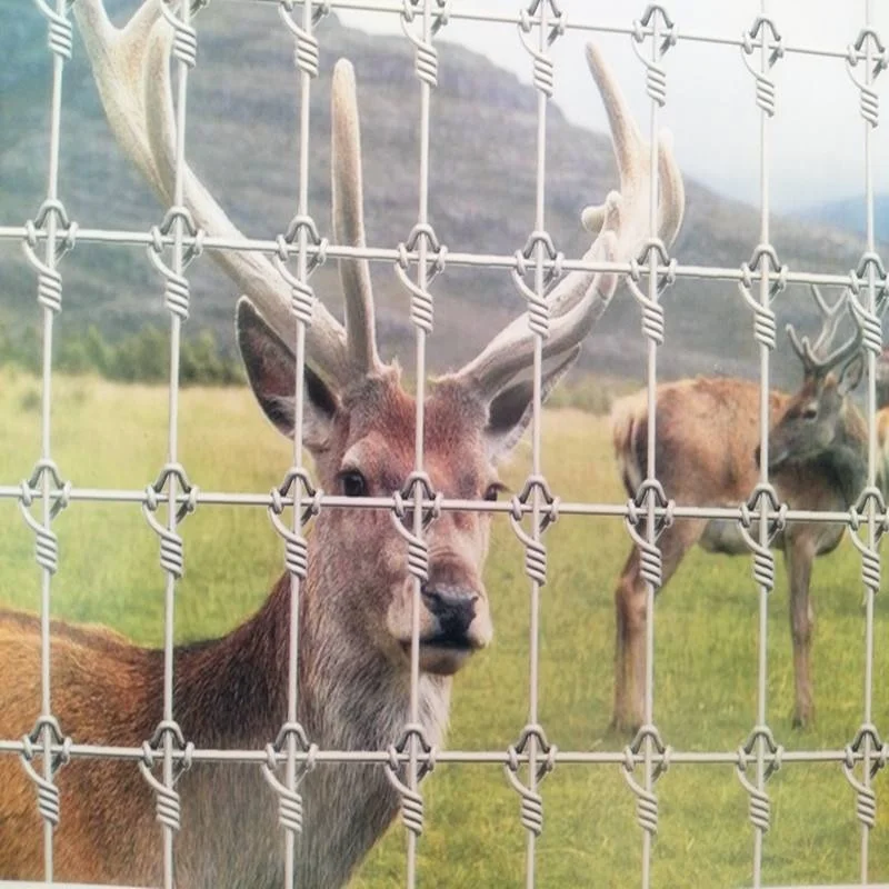 deer fence wire mesh