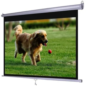 84 Inch RGlass Beaded Pull Down Projector Screen