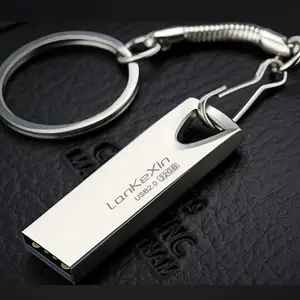 Metal Keychain USB 2.0 Pen Drive