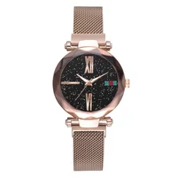 

WJ-8359 Fashion Attractive Stainless Steel Mesh Band Women Watch Beautiful Magnet Buckle Personality Ladies Hand Watches