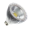 Indoor Outdoor Various Options 12 24 40 60 240 Degree Par Led Bulb