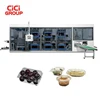 full automatic four station thermoforming making fruit container with forming-punching-cutting-stacking