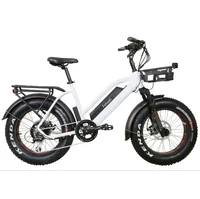 

electric fat tire bike 500w/ fat tire electric bike/ Chinese electric bicycle