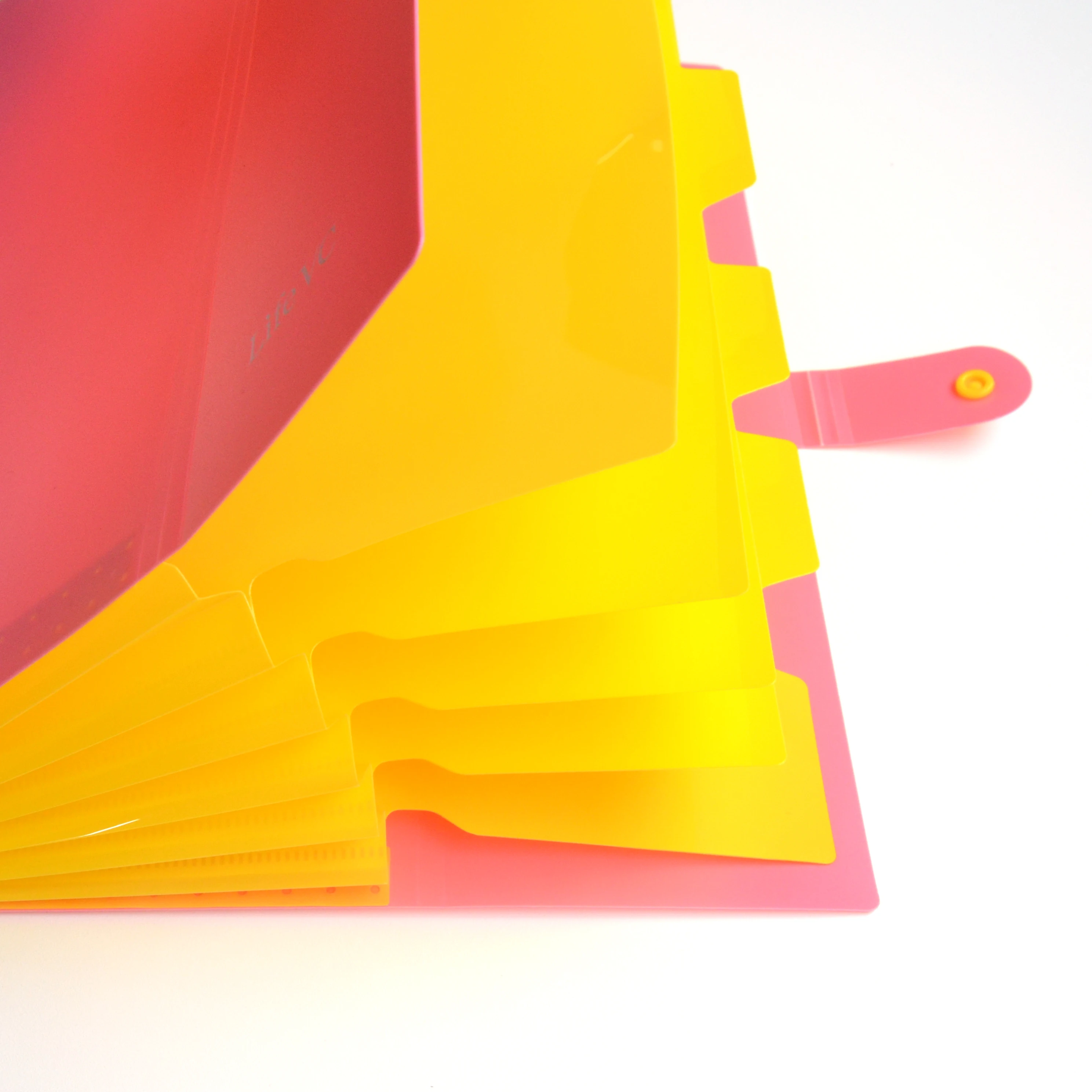 
factory price expandable pp expending file folders custom a4 file folder 