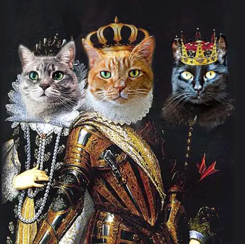 

Cartoon cats,diamond embroidery,mosaic,wall decor,DIY,rhinestone,pasted,diamond painting,cross stitch,needle gifts--zzl