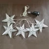 New Arrival High Quality Indoor Decorative Christmas Light String