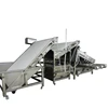 Shrimp grading machine/fish sorting machine/equipment for shrimp processing