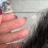 Wholesale New Trends Transparent HD Thin Swiss Lace Frontal Closure, Cuticle Aligned Pre Plucked Virgin Hair HD Lace Frontal