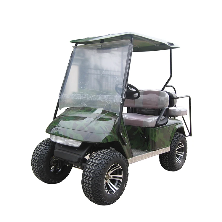 
off road gas or electric beach buggy 