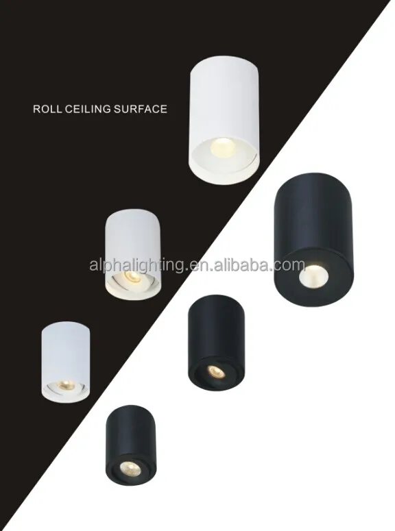 cob ceiling light poster.jpg