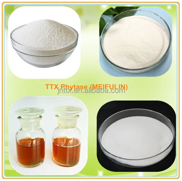 Broiler premix phytase enzyme in poultry feed