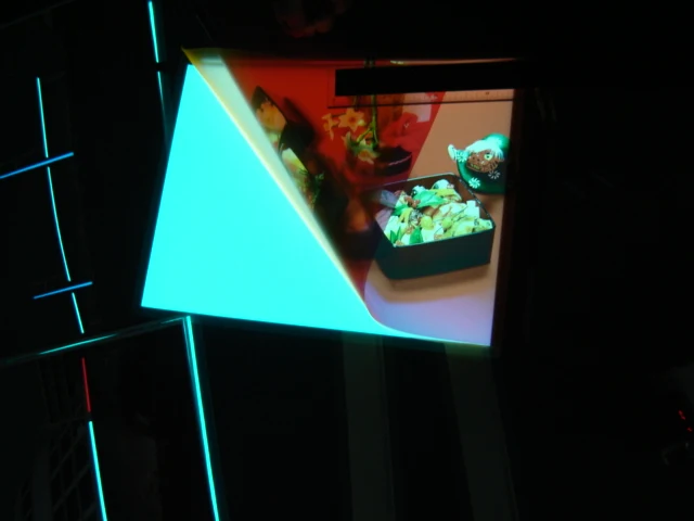 EL panel1.JPG