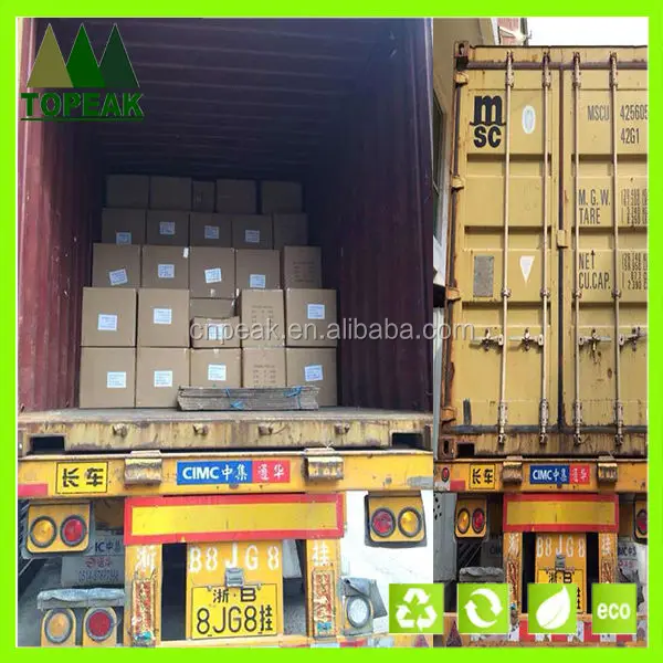 Transparent and water-resistant portable plastic water cup