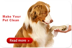 No.1 baby wipes OEM/ODM Manufacture & Exporter in China