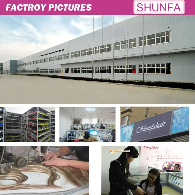 short brazilian hair full lace wig , synthetic lace front wigs for black women , two tone lace front wig