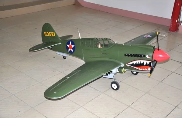 p 40 warhawk rc plane