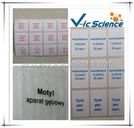 prepared slides OEM Available.jpg