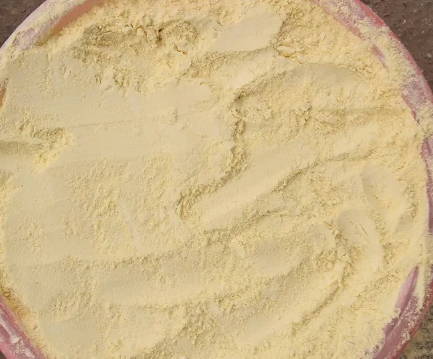 Vetch beans flour after milling