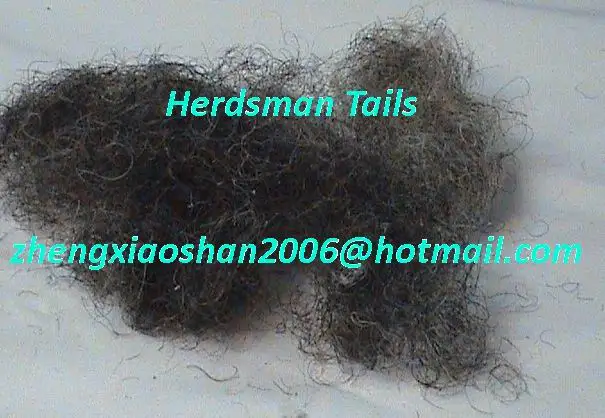 curled horsehair-black.jpg