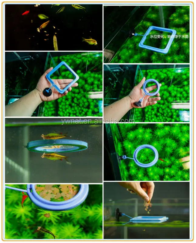 New Plastic Aquarium Fish Feeding Ring Plastic Feeding Ring For Middle