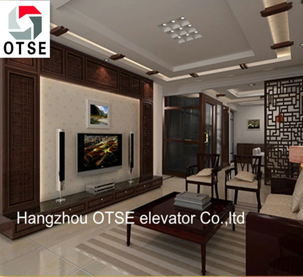 MRL_250kg_home_elevator_produce_in_china (1).jpg